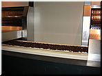 hershey_06.jpg