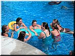 pool_01.jpg