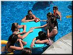 pool_02.jpg