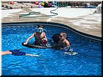 pool_04.jpg
