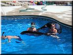 pool_05.jpg