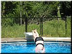 pool_37.jpg
